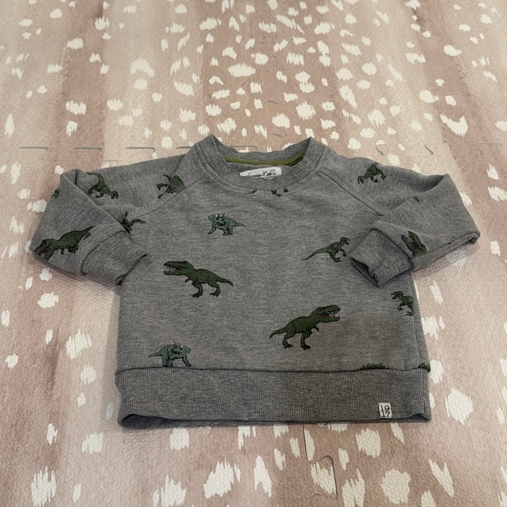 Sovereign Code Boys Dinosaur Sweatshirt Gray Size 18M - Picture 4 of 11